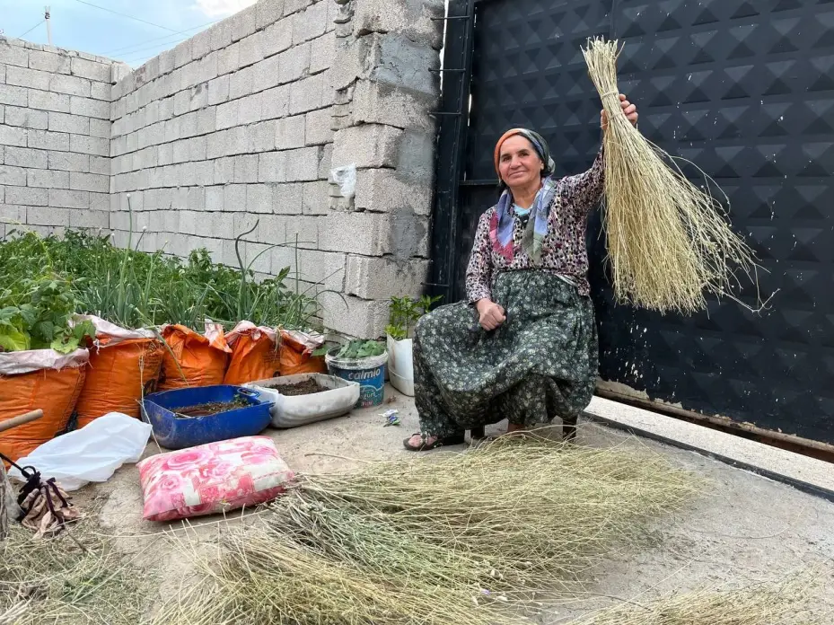 Ata mirasını yaşatıyor: Ot süpürgesi geleneğini sürdürüyor
