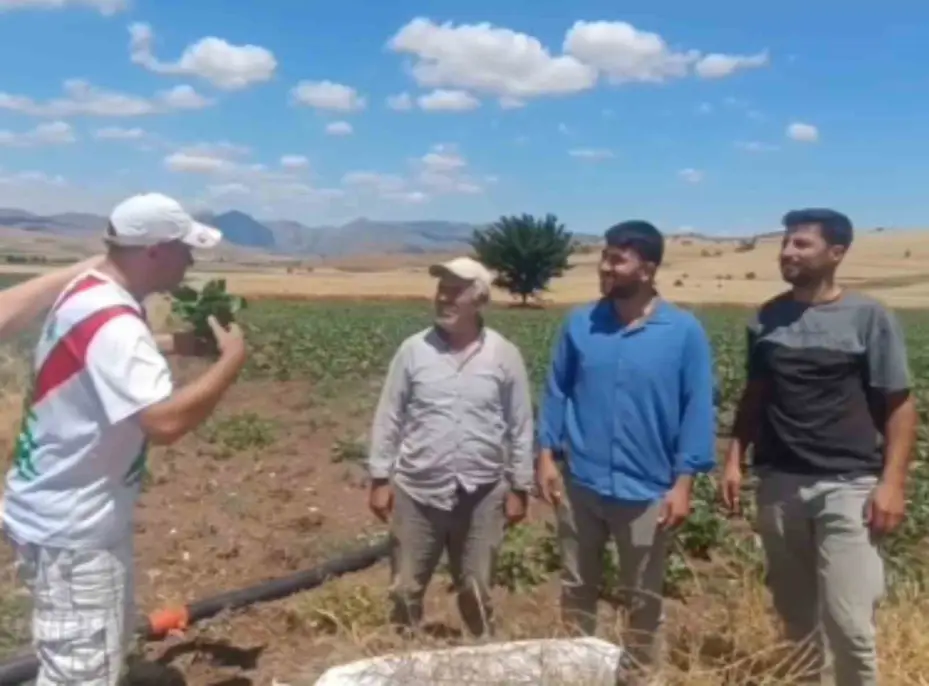 İlk kez şeker pancarı tadan Bulgar turistten renkli tepkiler