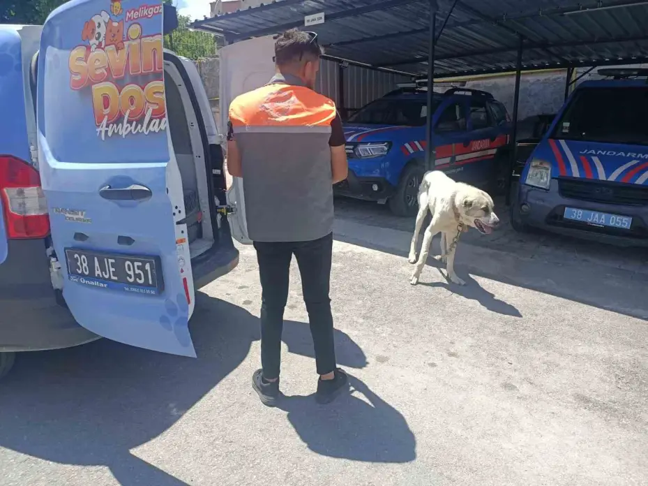 Köpeği otomobile bağlayarak çektiren şahsa ceza