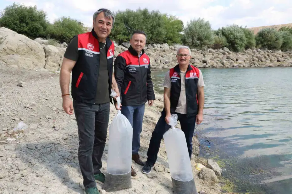 Eskişehir göletleri balıklandırma projeleri ile bereketleniyor