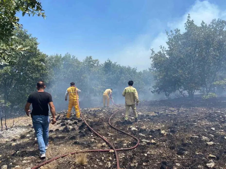 Seyitgazi’de orman yangınına ekiplerin müdahalesi başladı