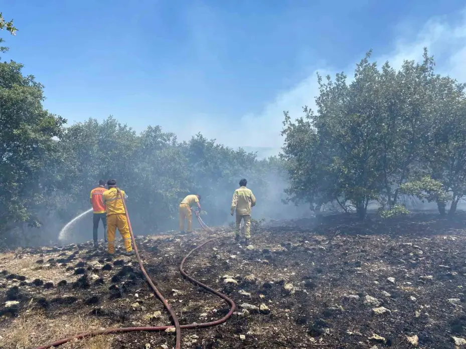 Seyitgazi’de orman yangınına ekiplerin müdahalesi başladı