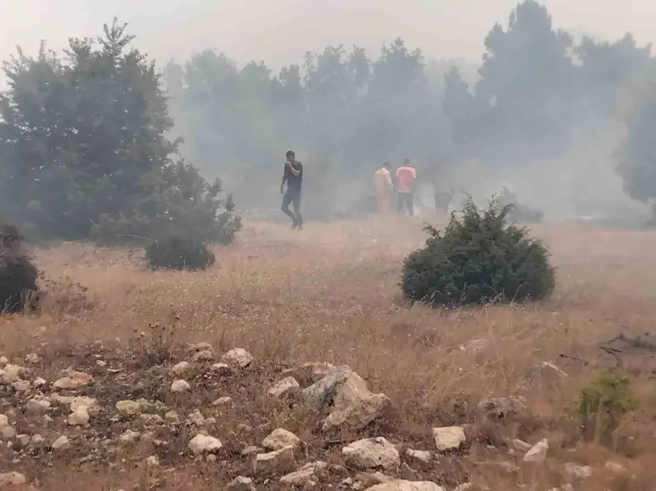 Seyitgazi’de orman yangınına ekiplerin müdahalesi başladı