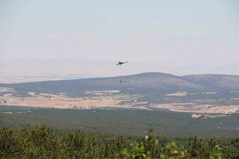 Seyitgazi’de orman yangınıyla ilgili açıklama