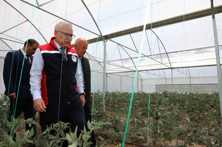 Sivas’ta ilk hububat hasadı Vali Yılmaz Şimşek tarafından gerçekleştirildi