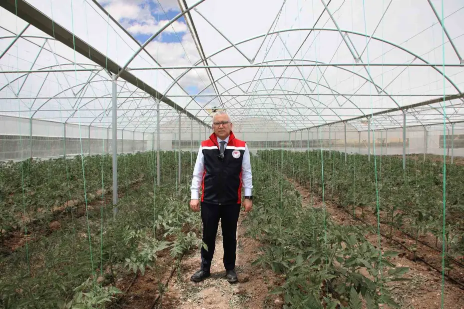 Sivas’ta ilk hububat hasadı Vali Yılmaz Şimşek tarafından gerçekleştirildi