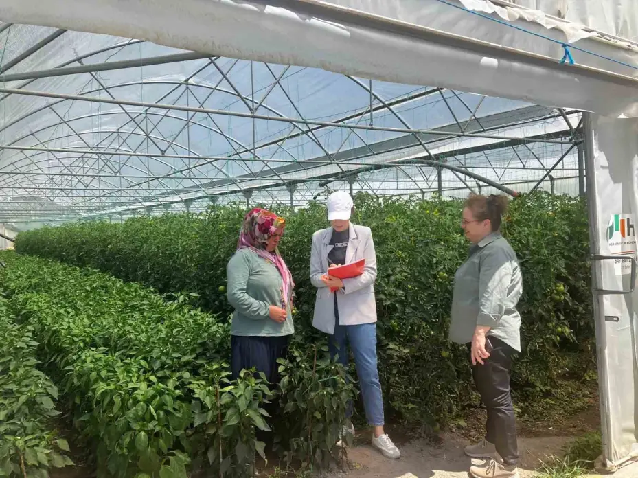 Niğde’de KOP destekli seralarda üretim başladı