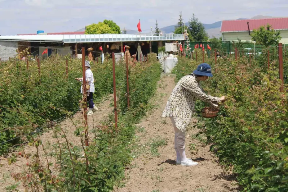 Hobi olarak başladığı işte talebe yetişemiyor