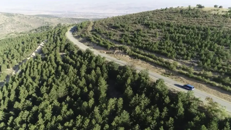 Kırıkkale Valisi Makas’tan orman yangını uyarısı