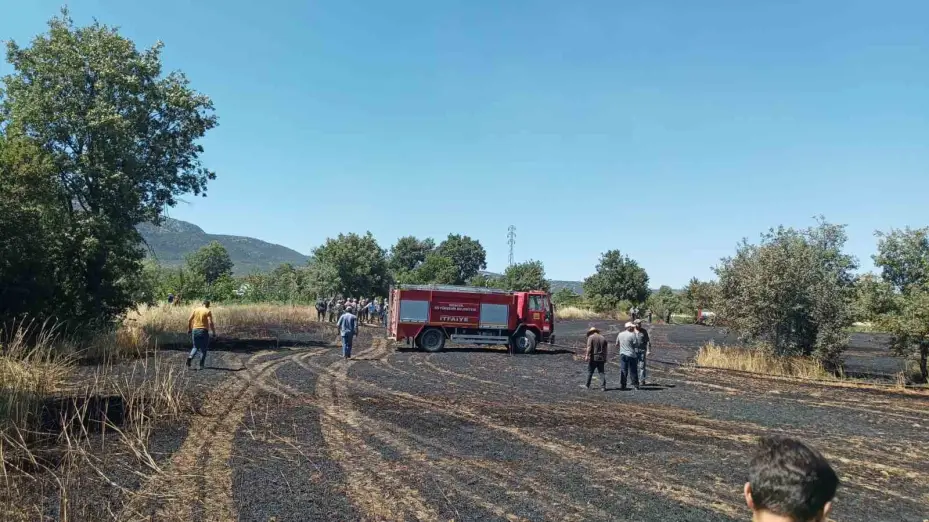 Arpa ekili alanda çıkan yangın ormanlık alana sıçramadan söndürüldü