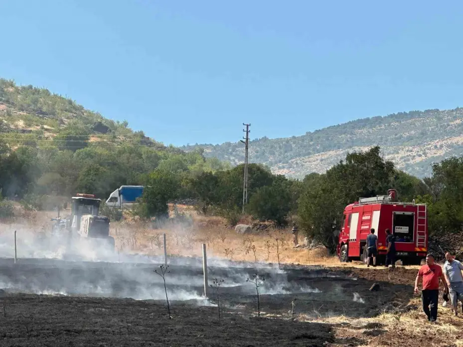 Ankara’da tarla yangını söndürüldü