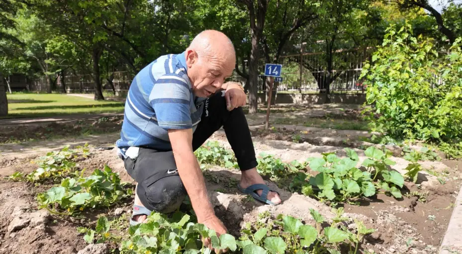 Huzurevi’ndeki yaşlı çınarlar; hobi bahçesi ile toprakları yeşertiyor
