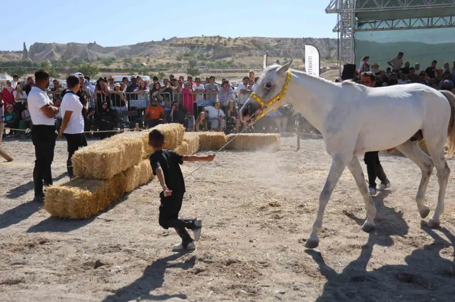 Kapadokya’da güzel atlar podyuma çıktı