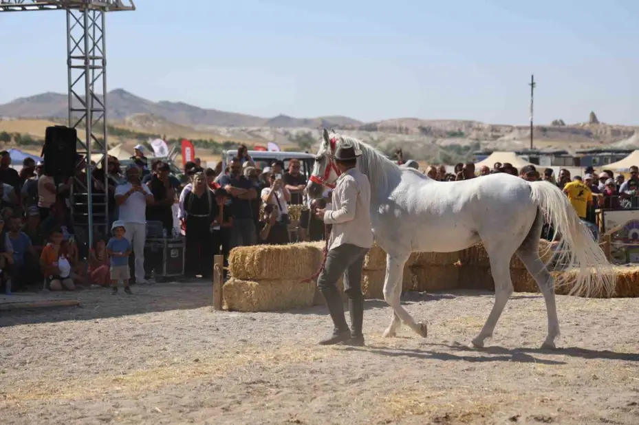 Kapadokya’da güzel atlar podyuma çıktı
