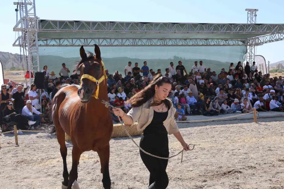 Kapadokya’da güzel atlar podyuma çıktı