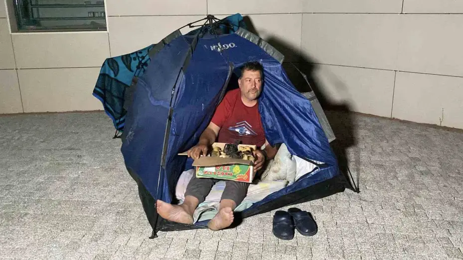 Çadırda civcivlerle zorlu yaşam