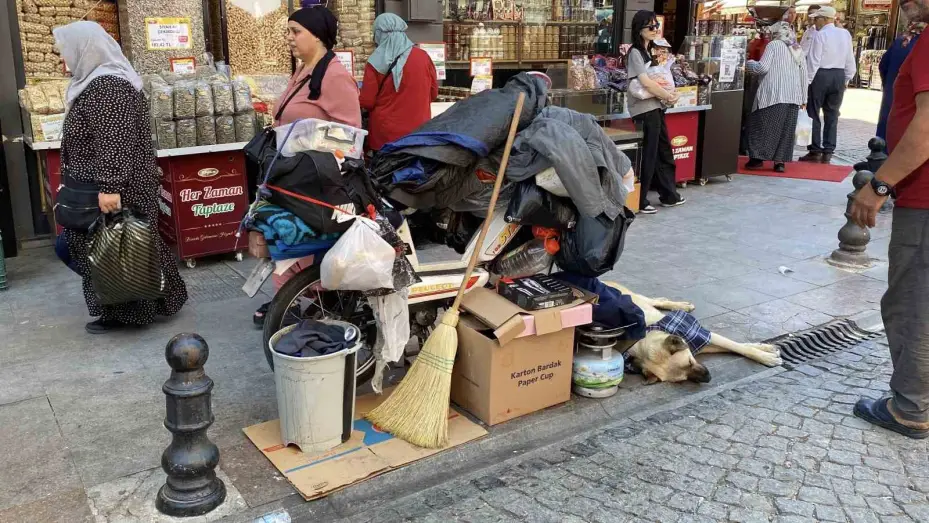 Çadırda civcivlerle zorlu yaşam