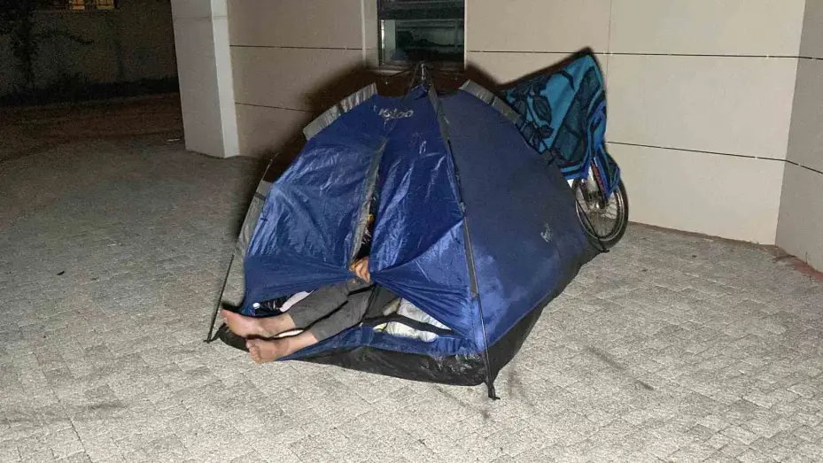 Çadırda civcivlerle zorlu yaşam