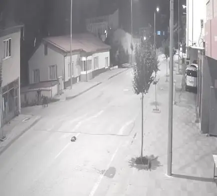 Ayılar ilçeyi mesken tuttu, cadde ve sokaklarda görülmeye başladı