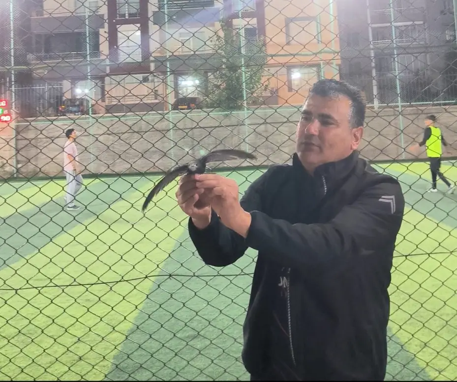 Kırşehir’de yaralı ebabil kuşu tedavi altına alındı