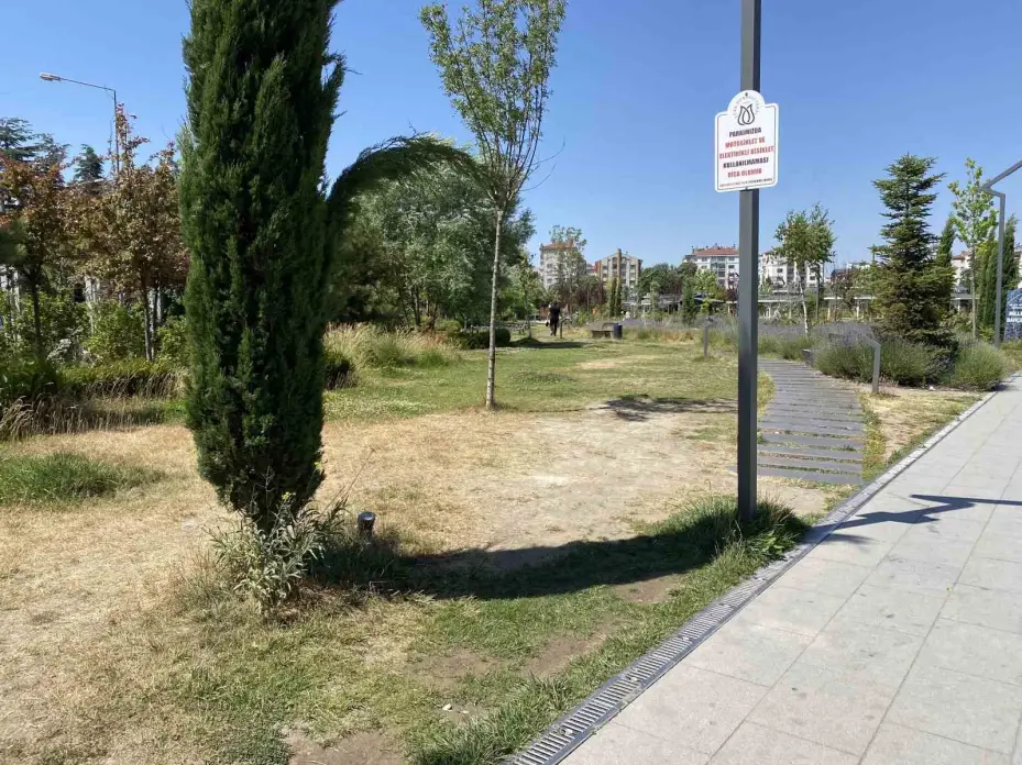 Eskişehir Recep Tayyip Erdoğan Millet Bahçesi bakımsız kaldı
