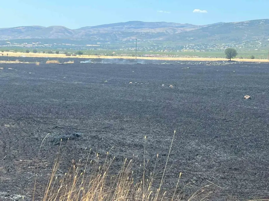Ankara’da 40 dönüm ekili arazi yandı
