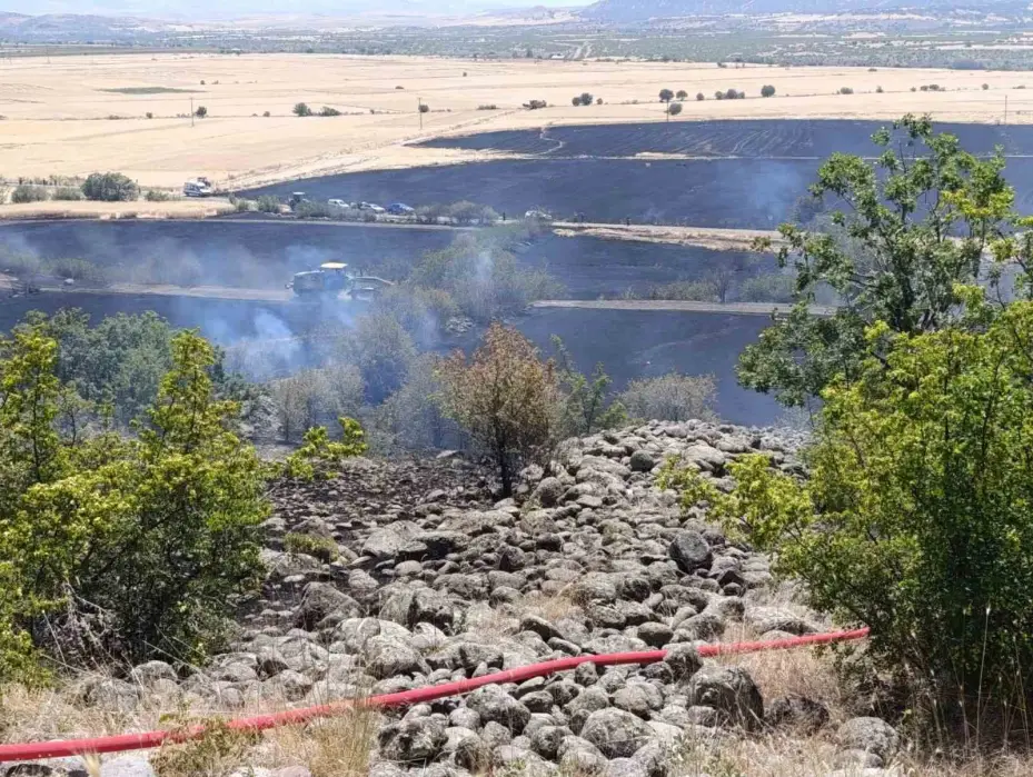 Ankara’da 40 dönüm ekili arazi yandı