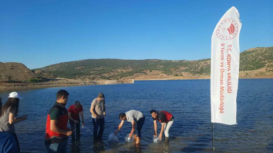 Bozkır’ın baraj ve göletleri yavru sazan balıkları ile buluştu