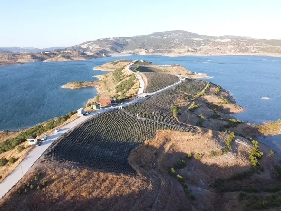 Lavanta bahçeleri fotoğraf platolarına dönüştü