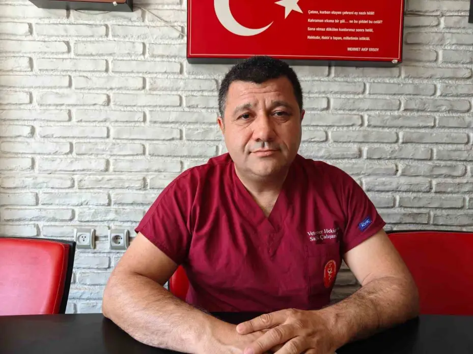 "Yılan ısırmasında sakin kalın"