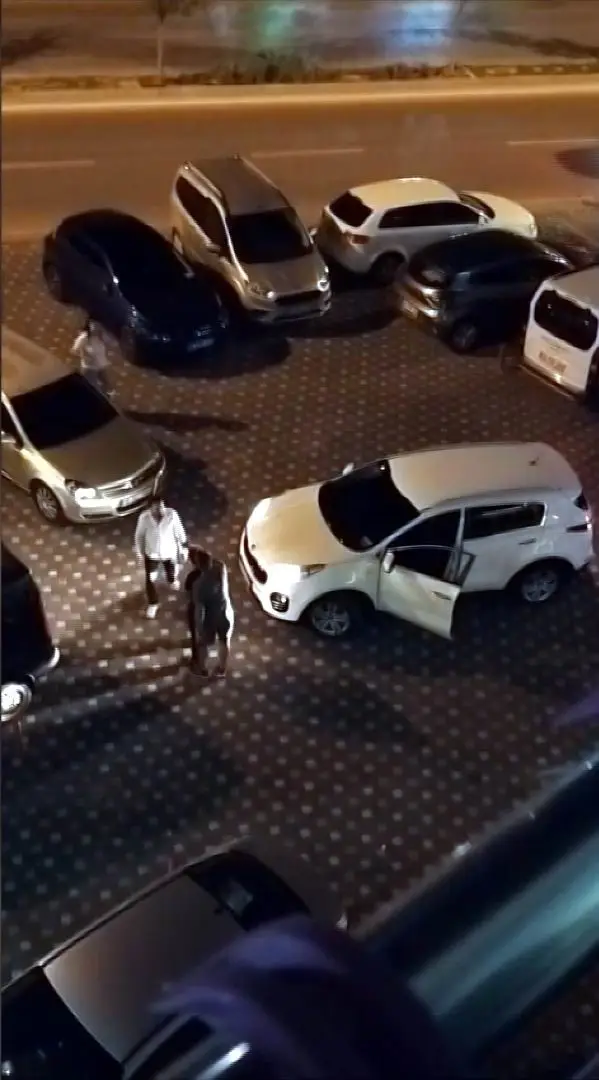 Park kavgası polis müdahalesi ile son buldu