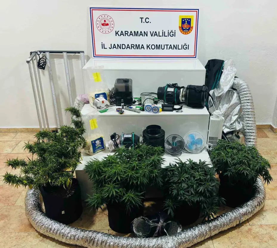 Kenevir yetiştirmek için kamp çadırını gizli sera yaptılar: 3 gözaltı