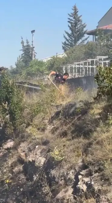 Yangında mahsur kalan kaplumbağaya itfaiyeden yardım eli