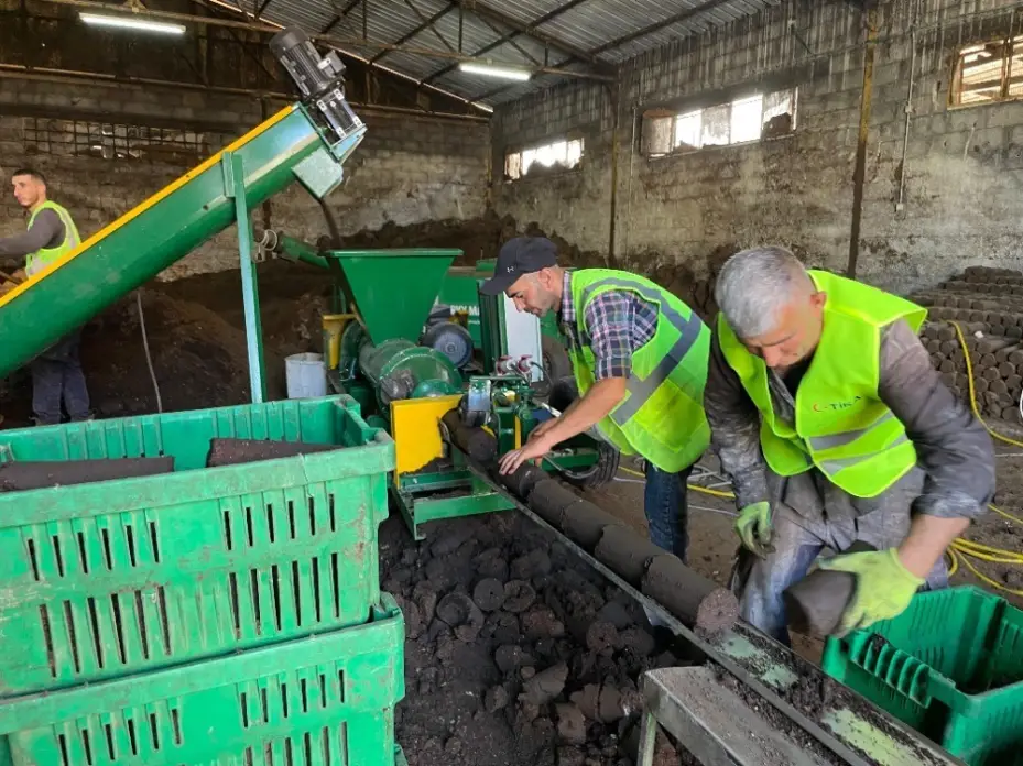 Filistin’de zeytin atıkları, pelet yakıta dönüşüyor