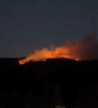 Çankırı’da orman yangını