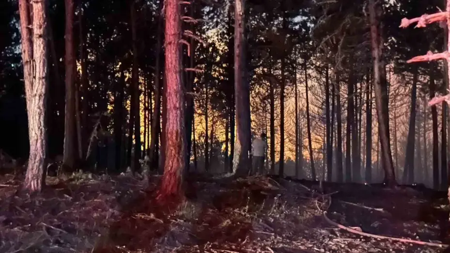 Çankırı’daki orman yangını havadan görüntülendi