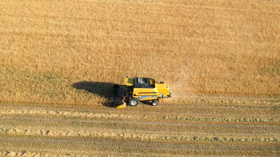 Hasatta hem kuraklık hem yangın riski: Çiftçiye çifte uyarı