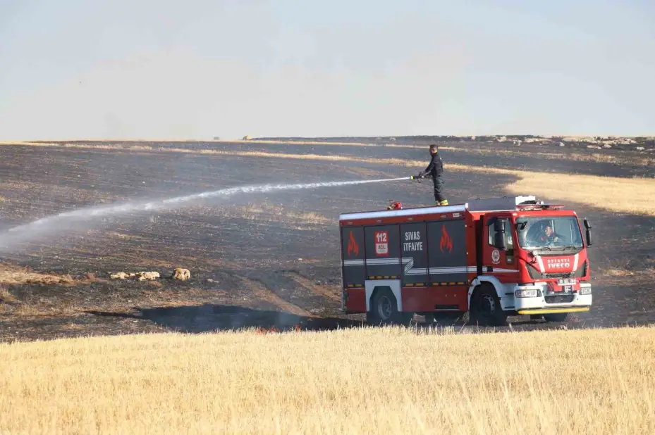 Verim için yapıldığı sanılıyor, toprağı zarara uğratıyor