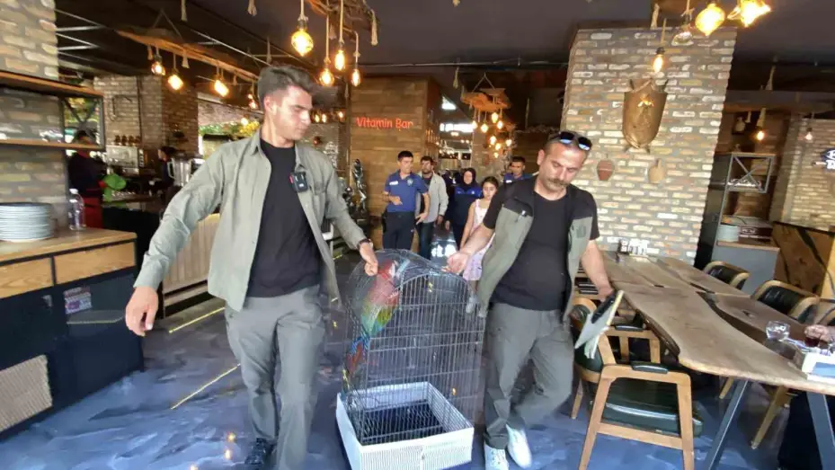Aksaray’da restorana papağan operasyonu