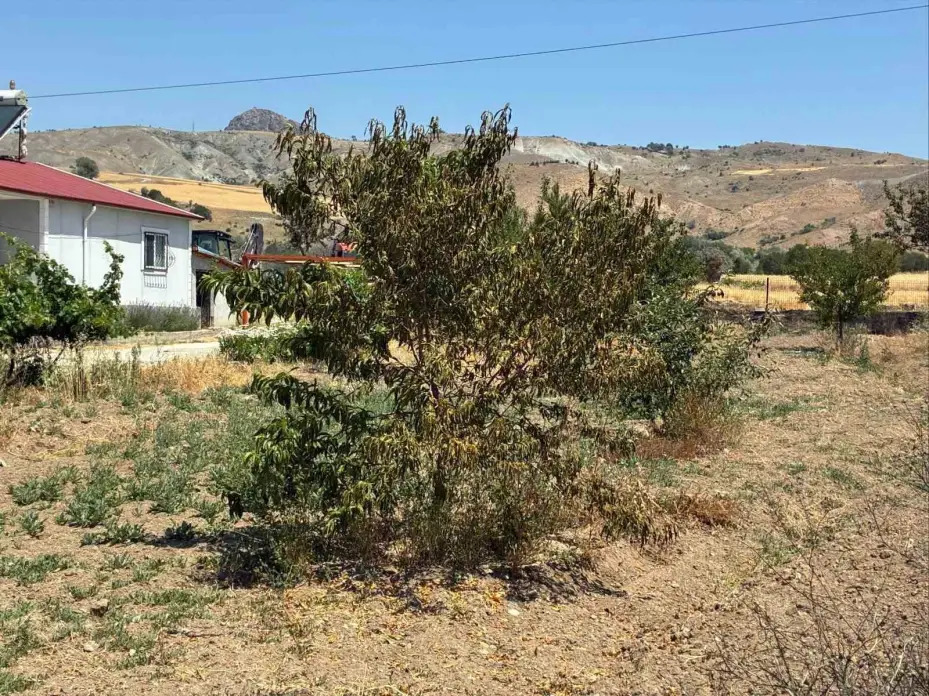Kopan ÇEDAŞ kablosu yangına neden oldu