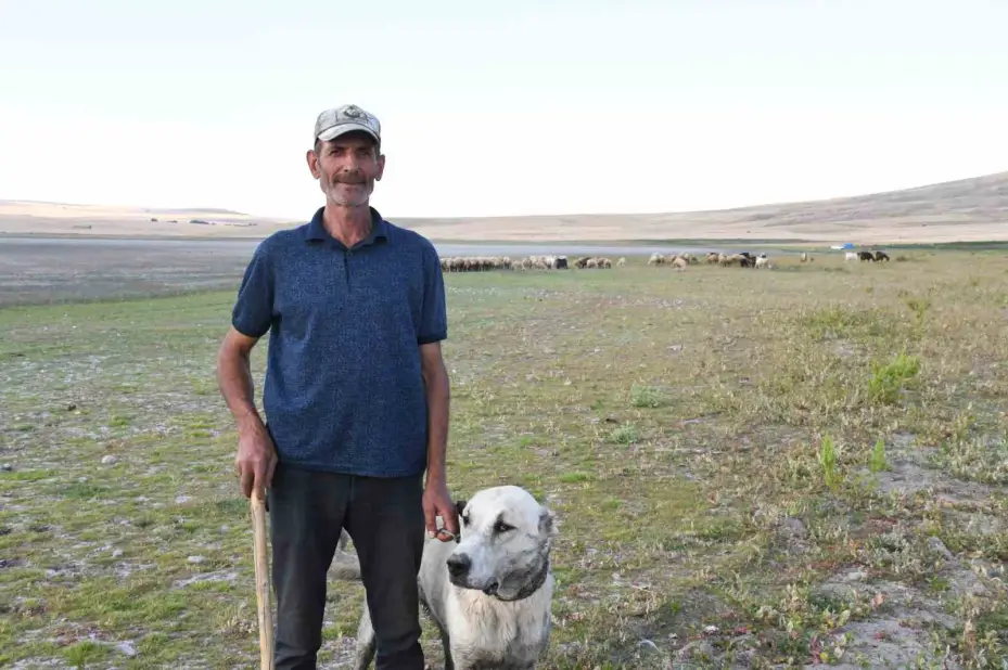 Binlerce göçmen kuş Yozgat’taki barajı adeta kuş cennetine çevirdi