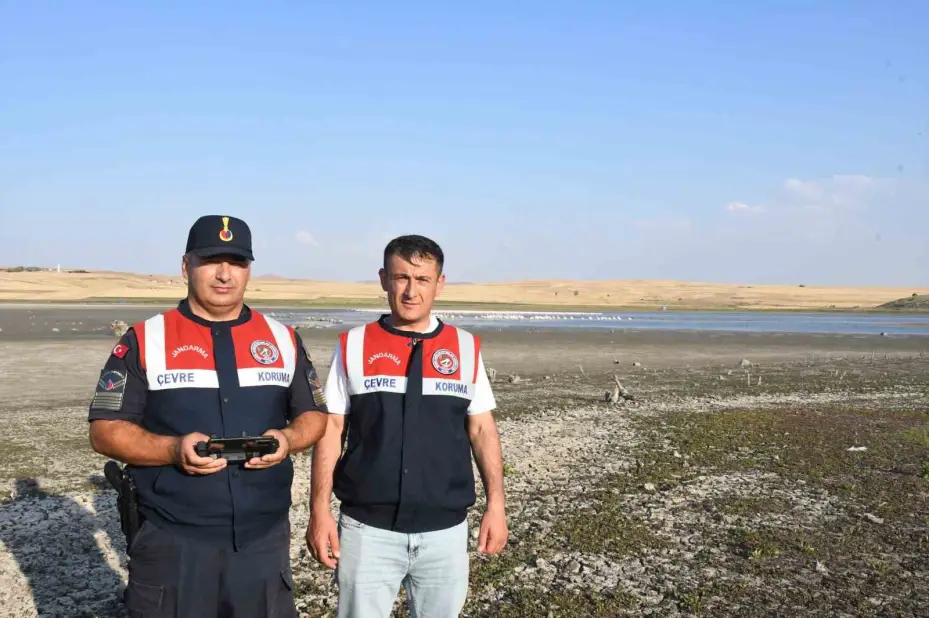 Binlerce göçmen kuş Yozgat’taki barajı adeta kuş cennetine çevirdi