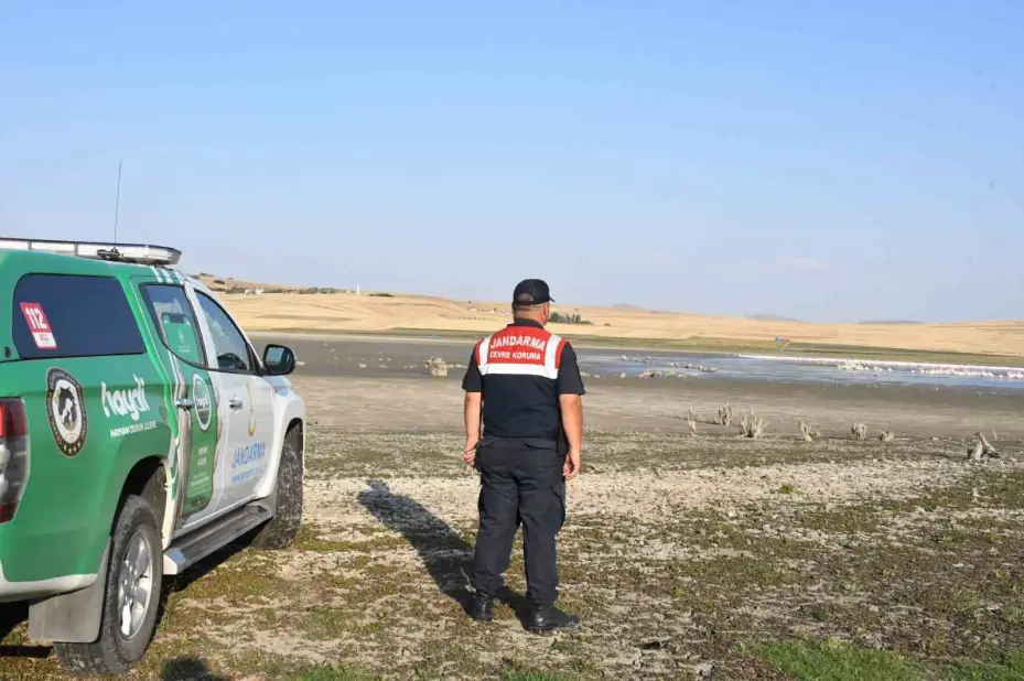 Binlerce göçmen kuş Yozgat’taki barajı adeta kuş cennetine çevirdi