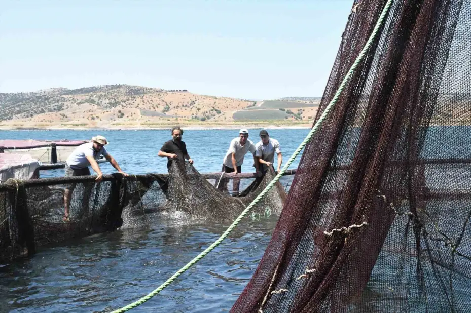 Denizi kıyısı olmayan Yozgat bozkırında yılda ortalama 225 ton balık üretiyor