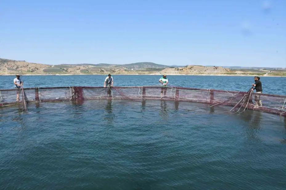 Denizi kıyısı olmayan Yozgat bozkırında yılda ortalama 225 ton balık üretiyor