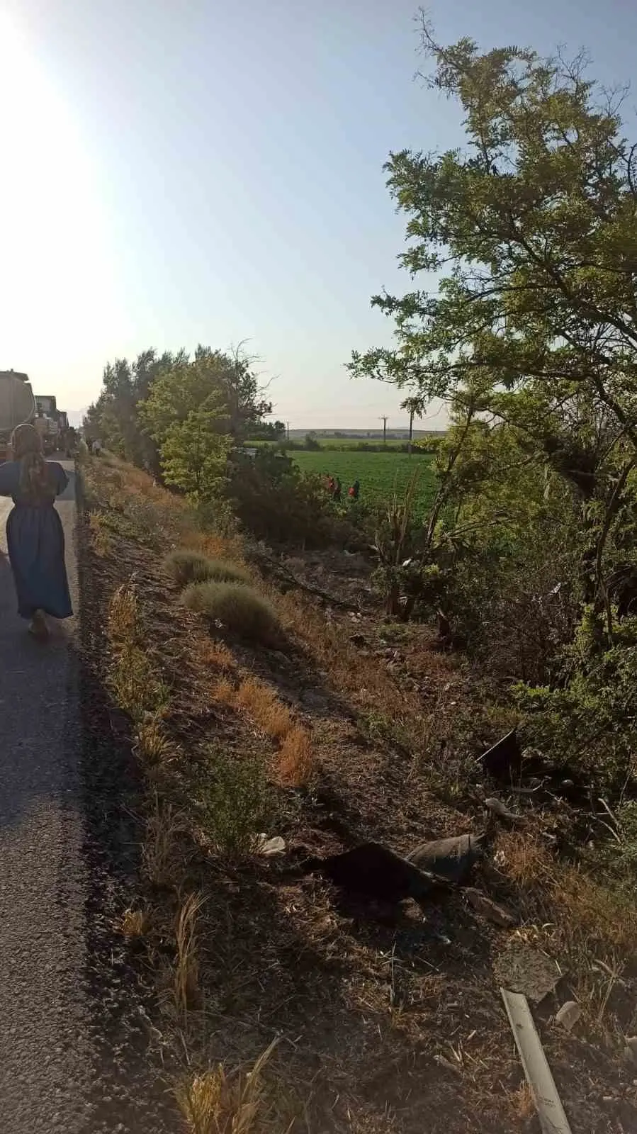 Konya’da yolcu otobüsü yoldan çıkarak ağaçlara çarptı: 7 yaralı