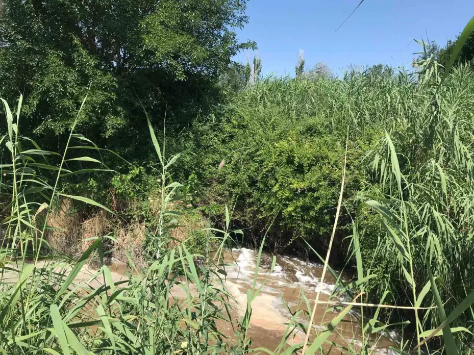 Denizli Büyükşehir Belediyesi’ne 1,6 milyon lira ’atık su’ cezası