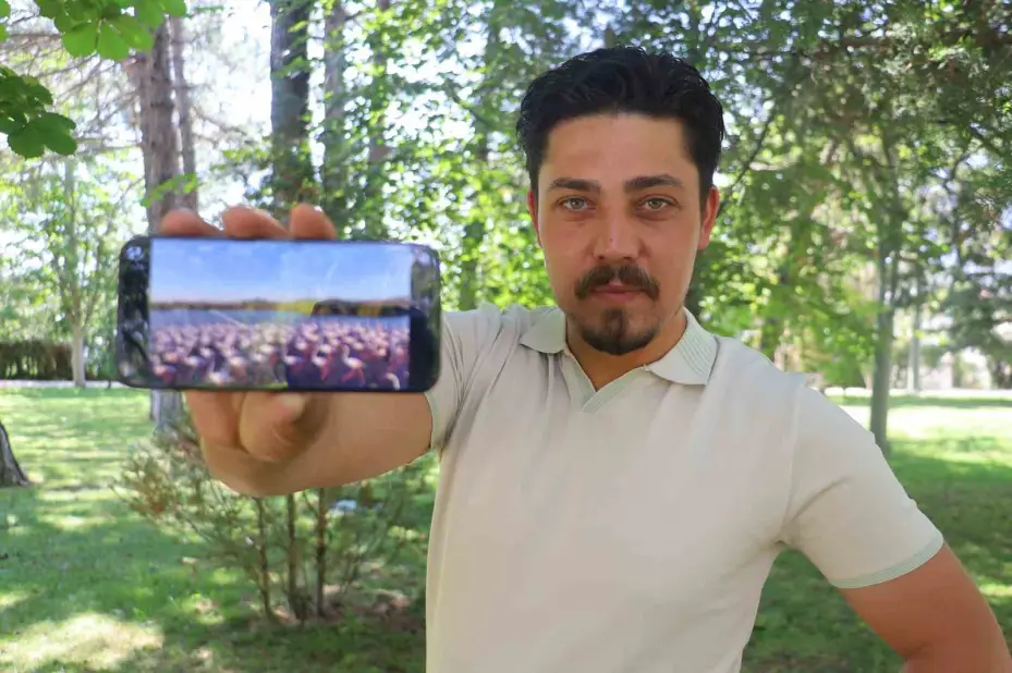 Allı turnalar izleyenleri mest etti