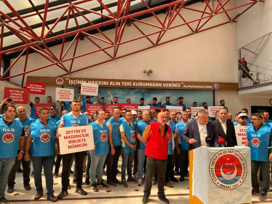 TES-İŞ Genel Başkanı Kabaloğlu: "Biz zeytini de koruyacağız, madeni de koruyacağız, istihdamı da geliştireceğiz"