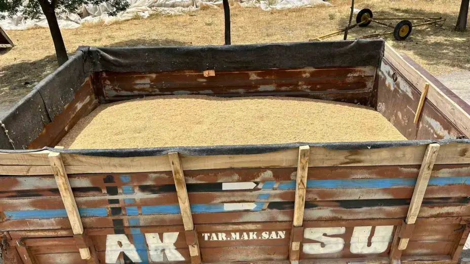 Tomarza’da Toprak Mahsulleri Ofisi hububat alımına başladı